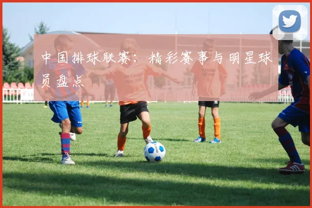中国排球联赛：精彩赛事与明星球员盘点