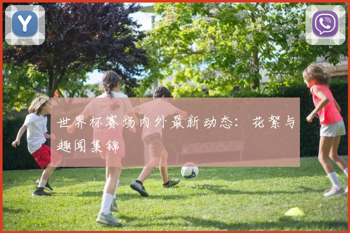 世界杯赛场内外最新动态：花絮与趣闻集锦