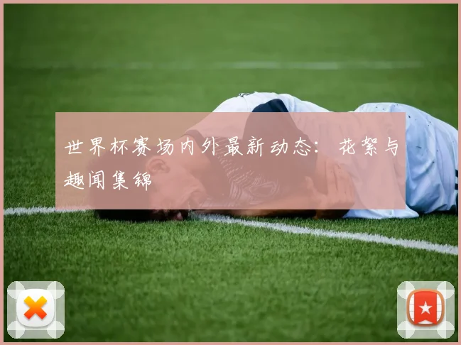 世界杯赛场内外最新动态：花絮与趣闻集锦
